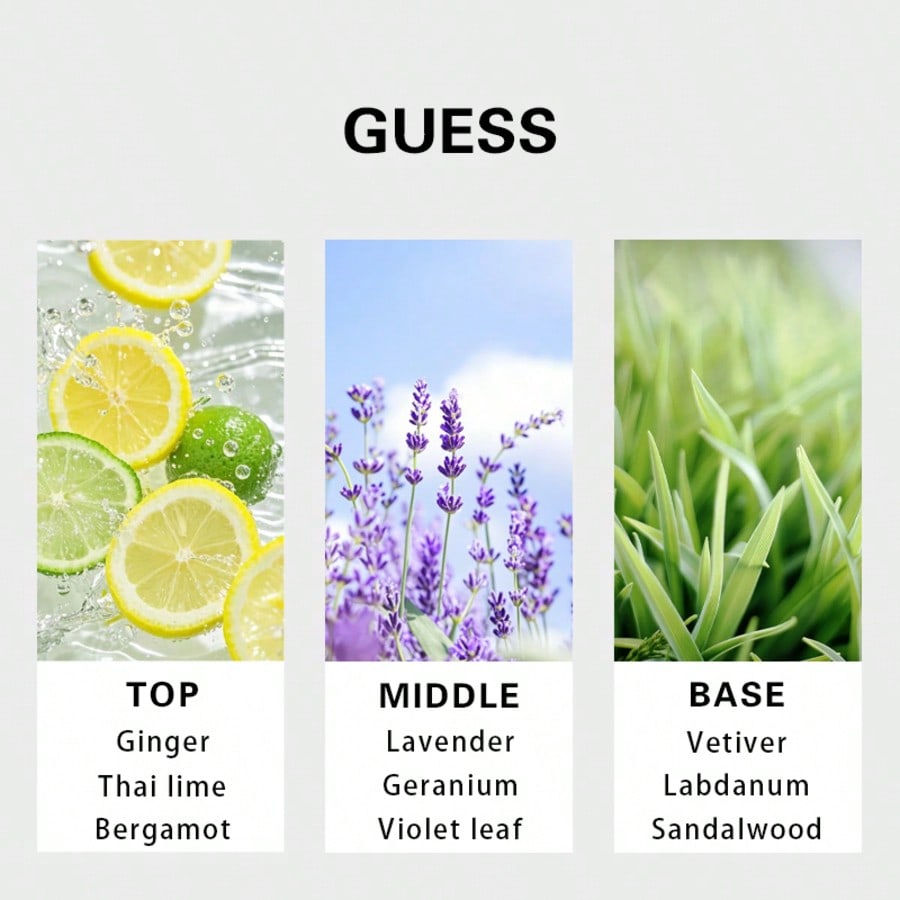 Guess Forever men Eau De Toile - Perfume Fragrance Tous recension och pris